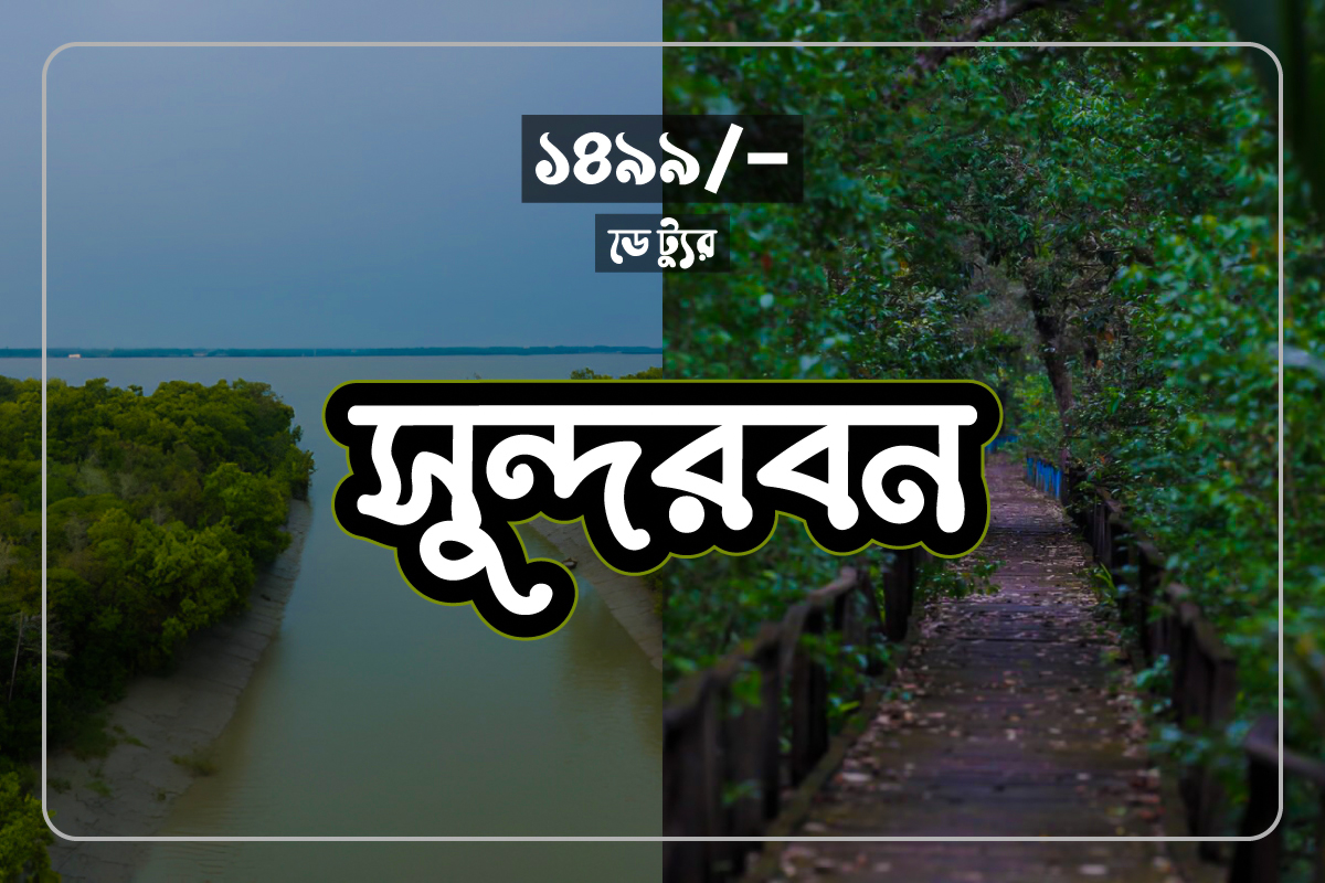 sundarban-day-tour